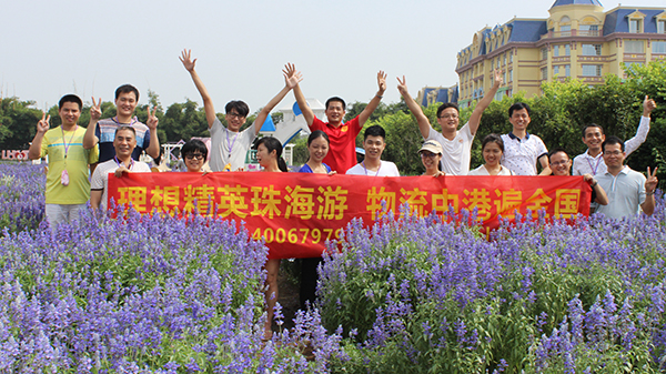 發貨到香港,深圳理想物流有限公司 發貨到香港,深圳理想物流有限公司